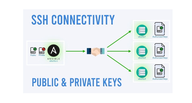 Управление SSH-ключами с помощью Ansible